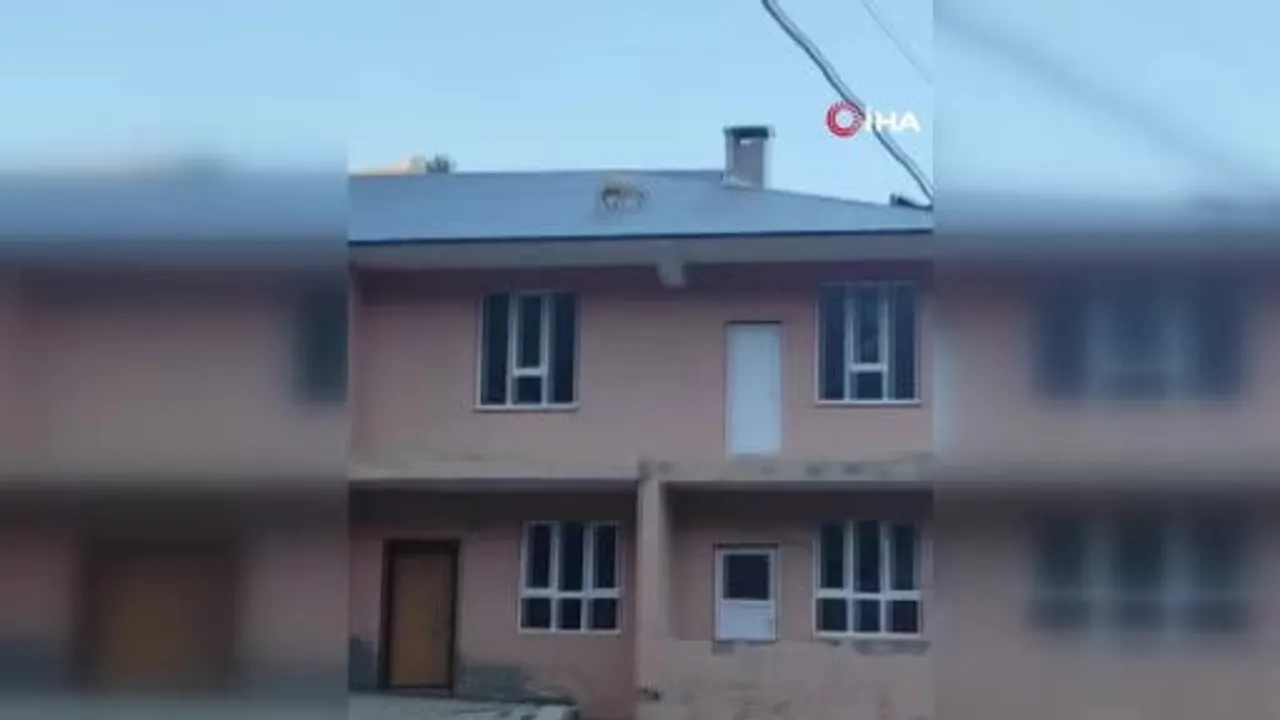Çatıya çıkan iki yavru keçi Bahçesaray'da mahalleliyi harekete geçirdi