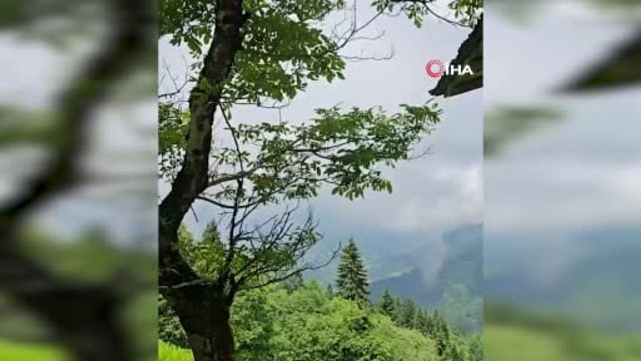 Çaykara'da köy evine giren ayının verdiği zarar genç tarafından anlatıldı