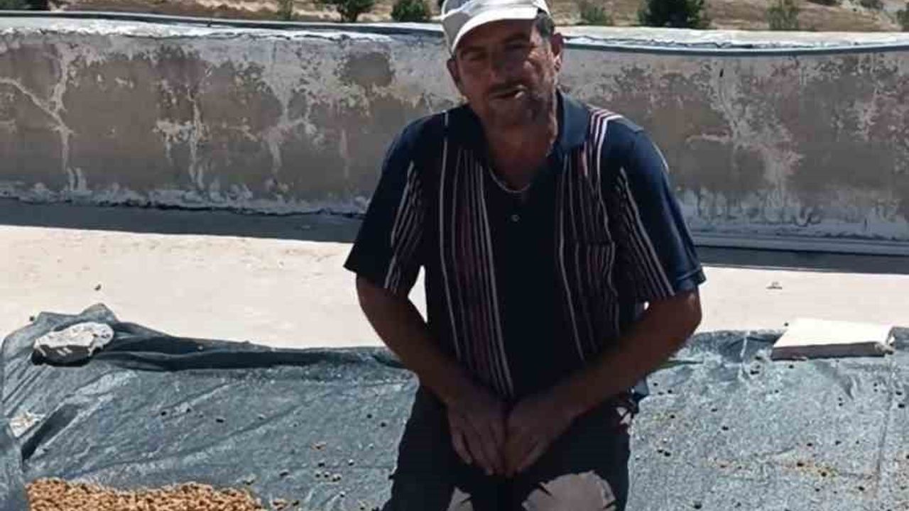 Çermik'te dutlar pazardaki yerini aldı