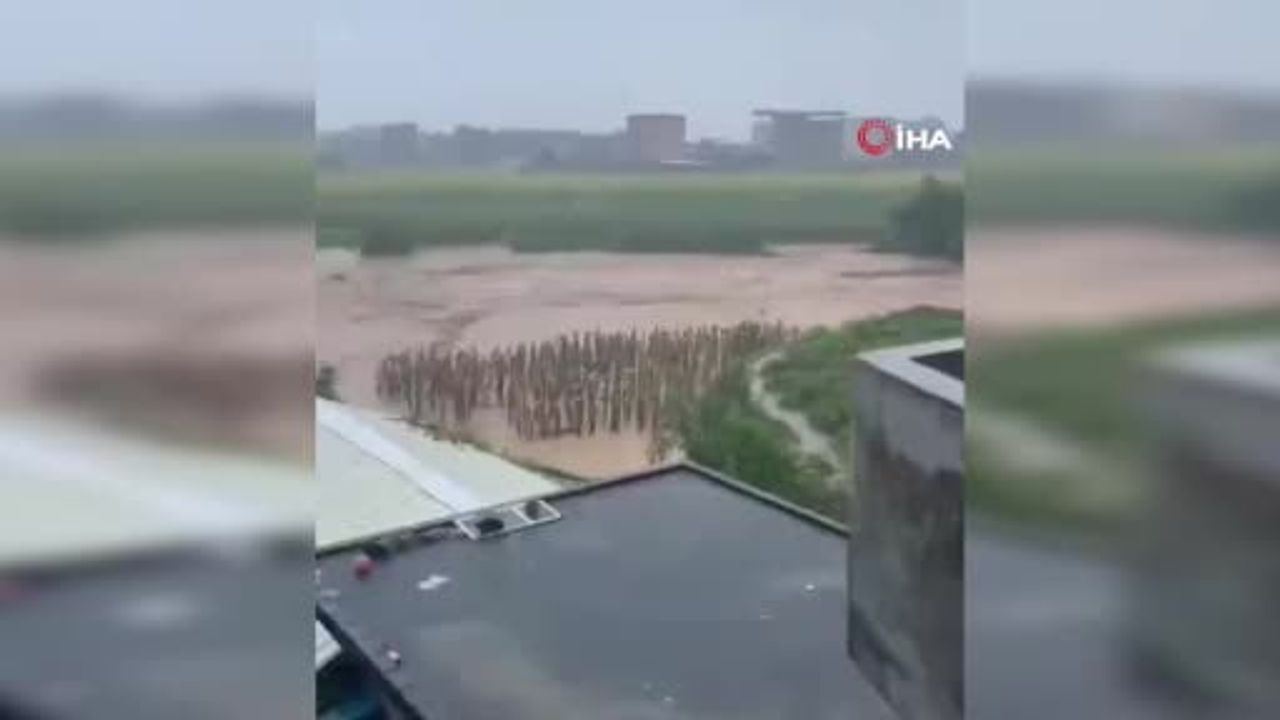 Çin'de selde 900'den fazla yılan çiftlikten kaçtı