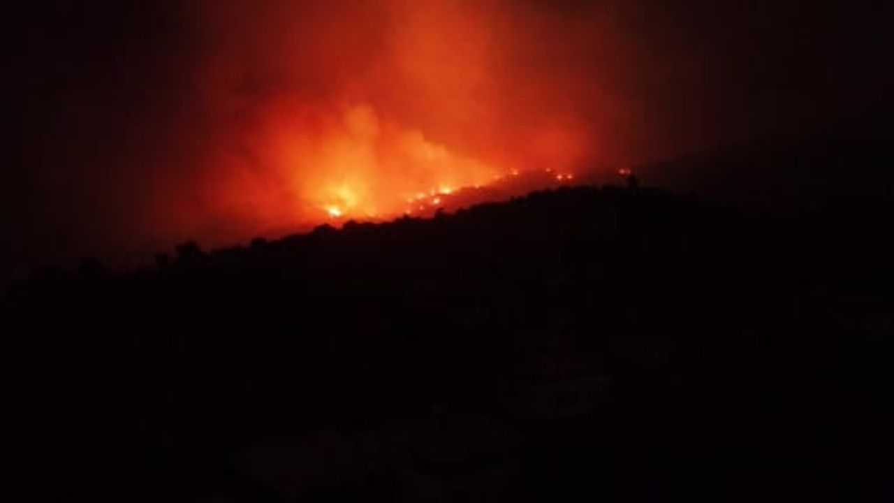 Çine'de gece görüntüleri: alevler mahalleye dayandı