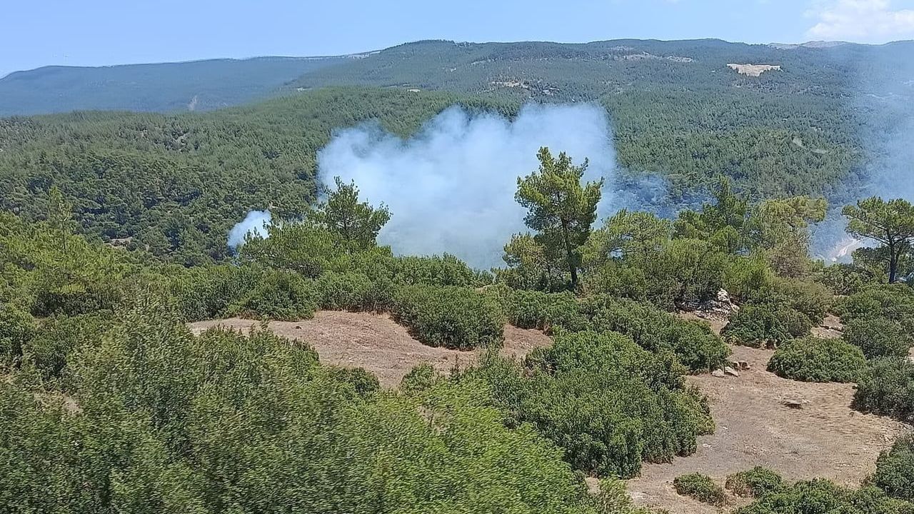 Çine'de orman yangını