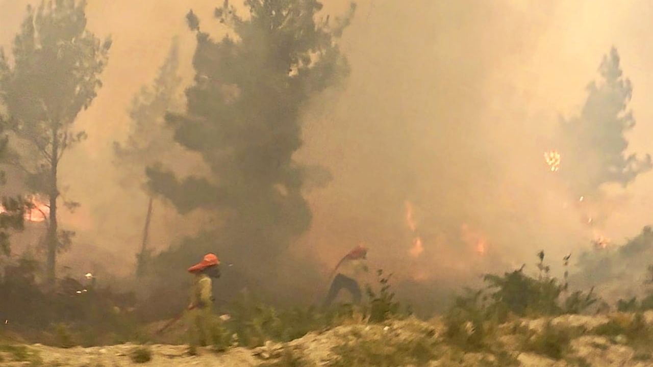 Çine'de rüzgârın etkisiyle yayılan orman yangınına karadan ve havadan müdahale sürüyor