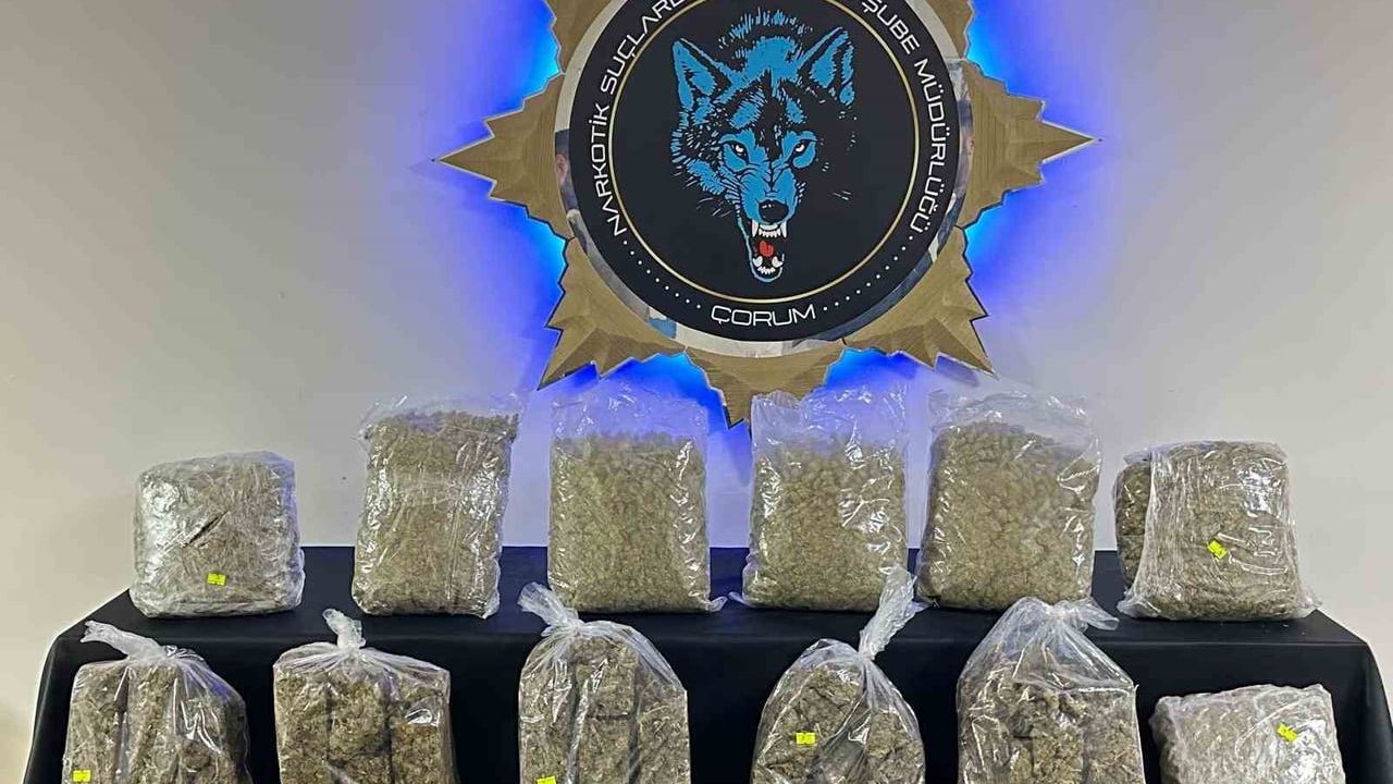 Çorum’da 9 kilo 429 gram skunk ele geçirildi: 1 tutuklama