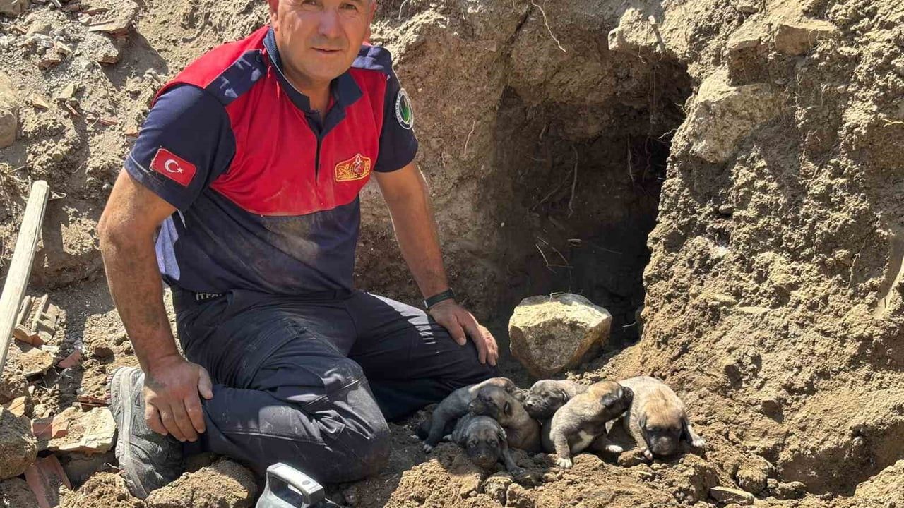 Çorum'da itfaiye yıkım halindeki binada mahsur kalan 8 yavru köpeği kurtardı