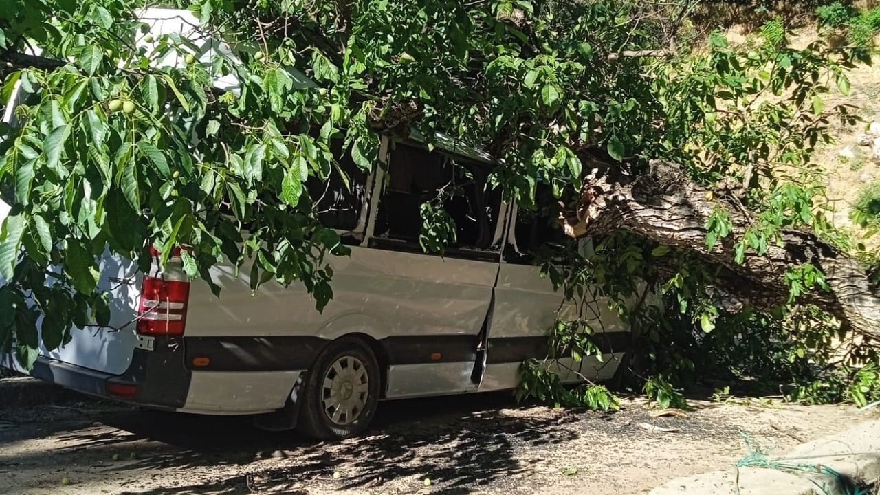 Çukurca'da park halindeki minibüsün üzerine ceviz ağacı devrildi
