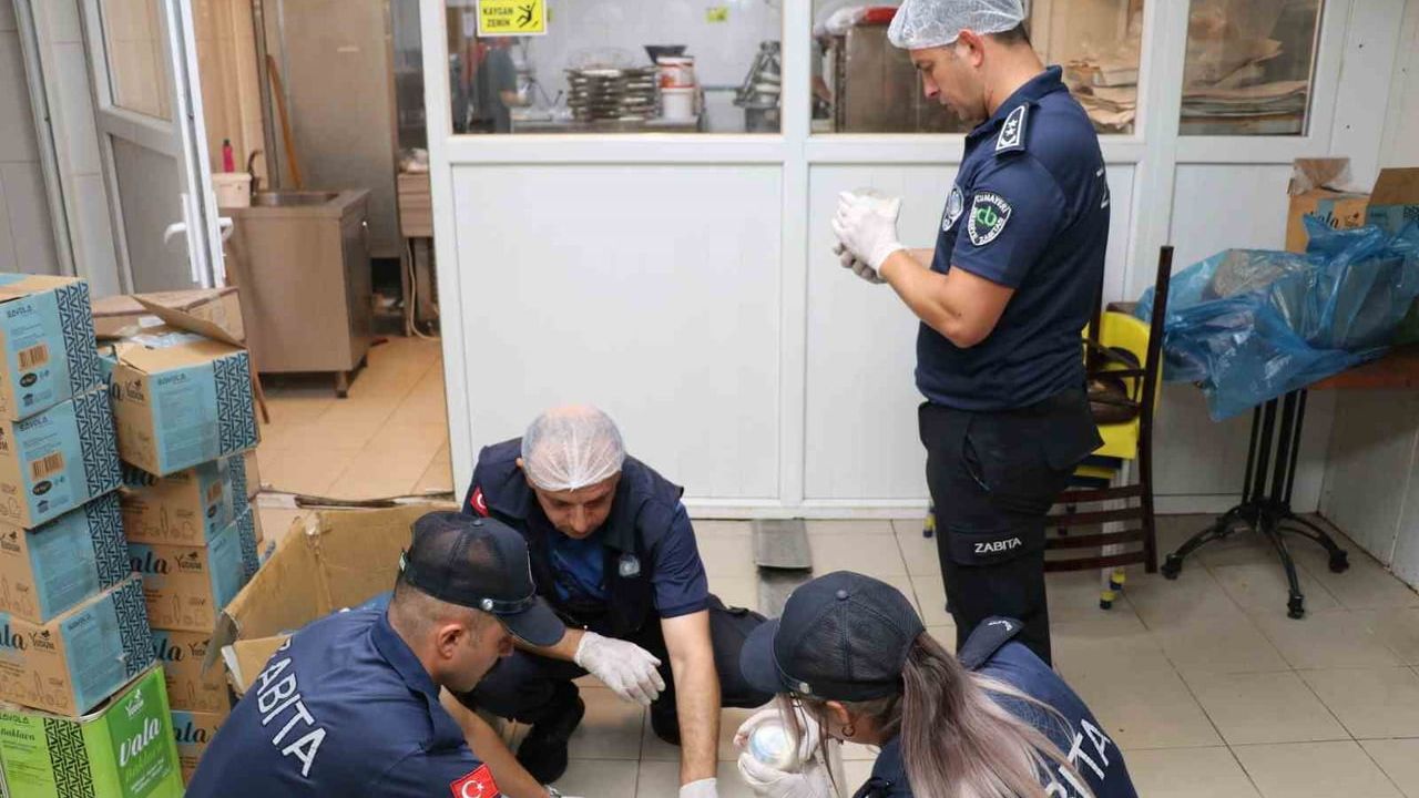 Cumayeri'de imalathanelere kapsamlı gıda denetimi