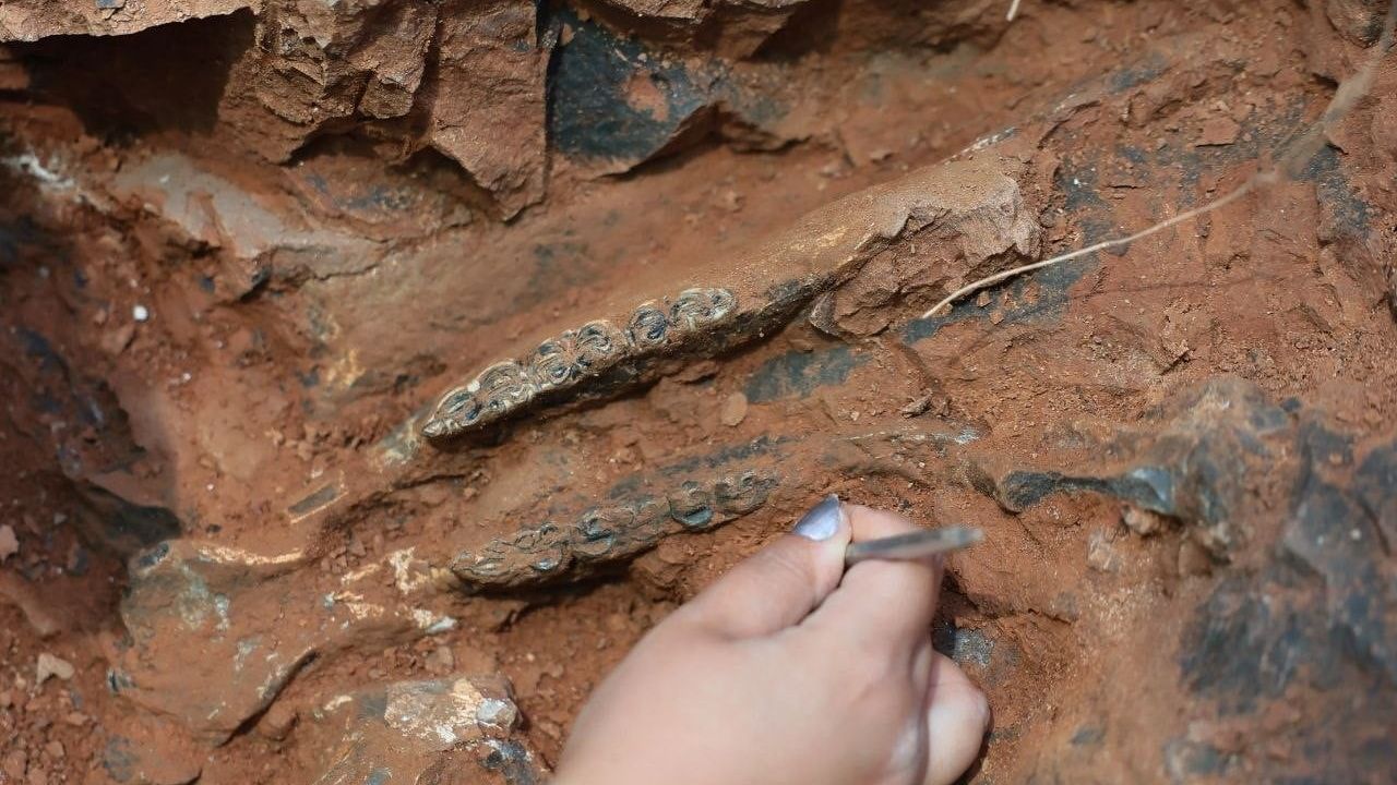 Denizli'nin Kayaca'daki fosil hafızasını koruyoruz