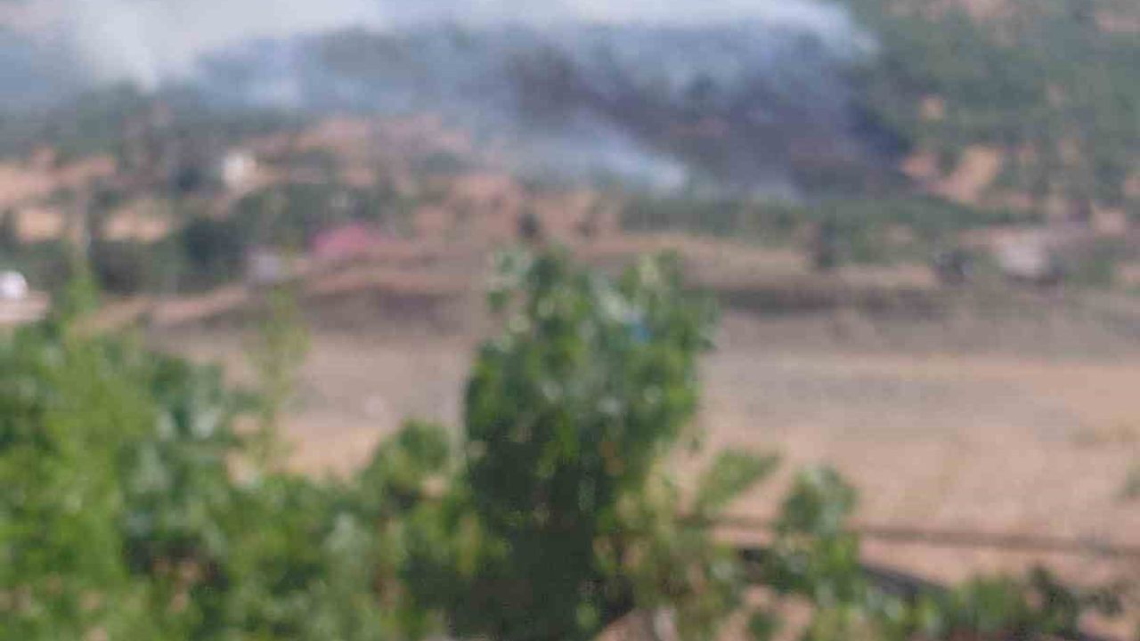 Dicle'de örtü yangını