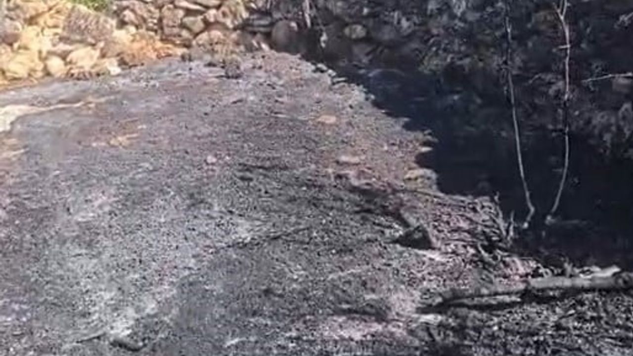 Dicle'de örtü yangını: onlarca meyve ağacı zarar gördü