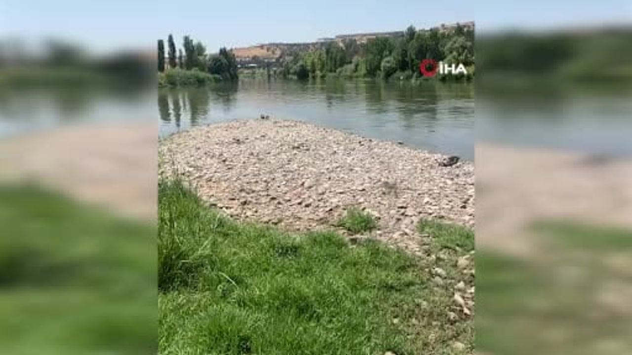 Dicle nehrinde bir kişinin cansız bedeni bulundu