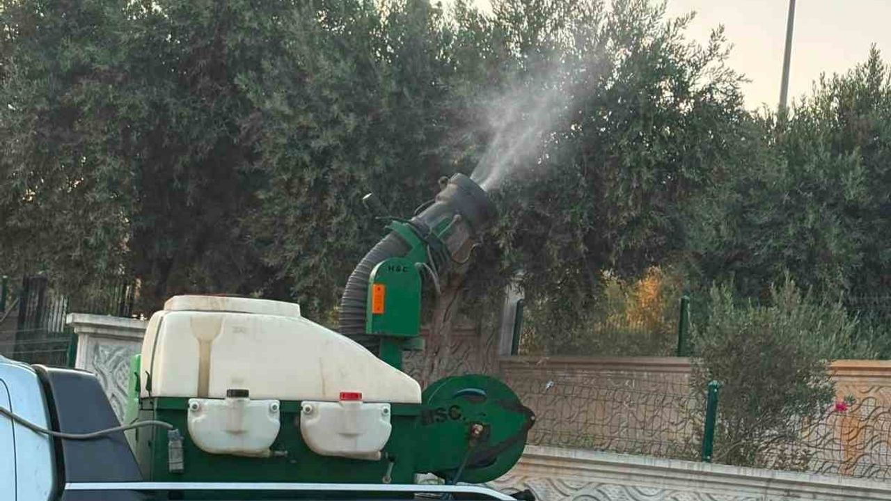 Didim'de halk sağlığını korumaya yönelik ilaçlama seferberliği