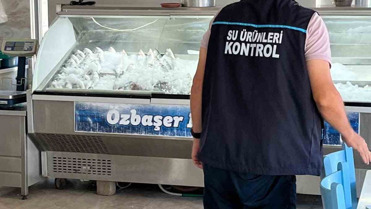 Didim’de su ürünleri denetimleri sürüyor
