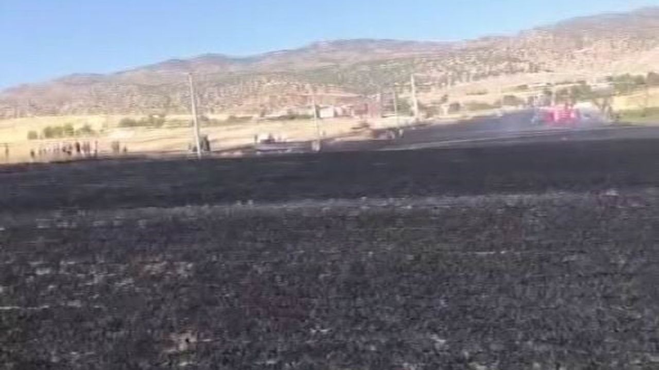 Diyarbakır'da 100 dönümlük alan yangında küle döndü
