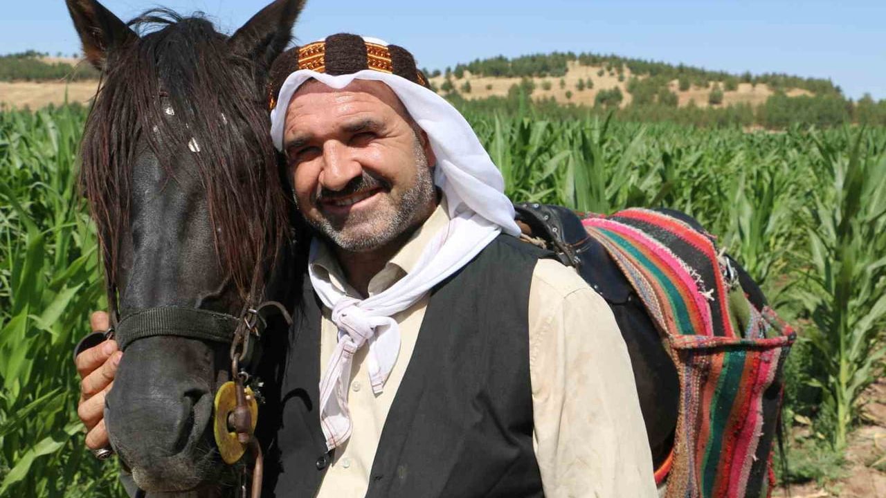 Diyarbakır'da 46 yıldır at sırtında buz dağıtan Buzcu Baba