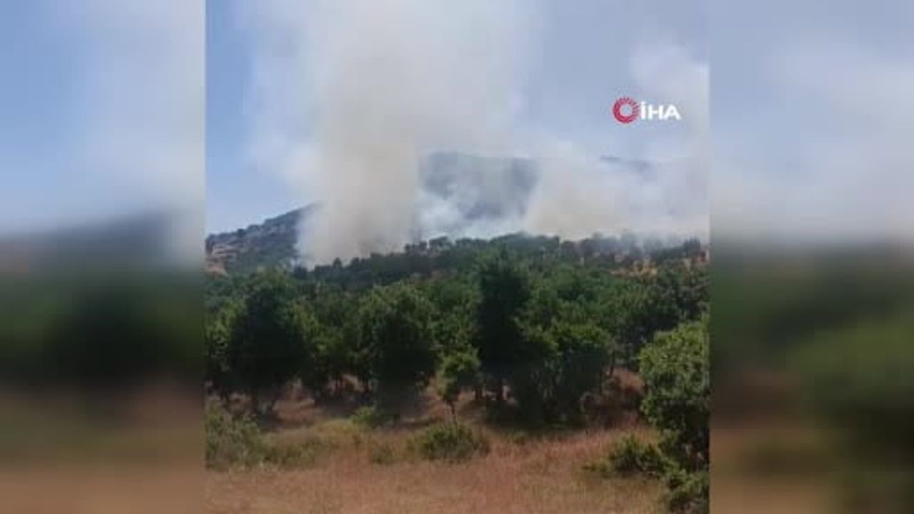 Diyarbakır’da ağaçlık alanda yangın: itfaiye ve jandarma söndürme çalışmalarını sürdürüyor