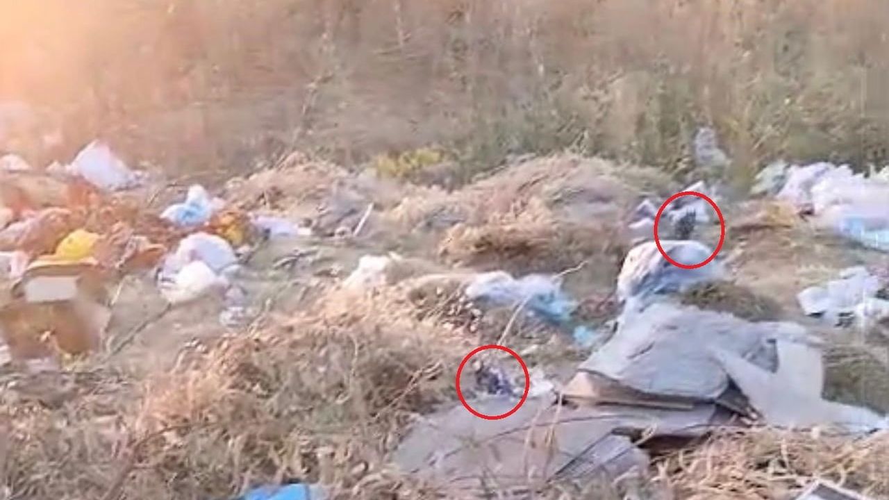 Diyarbakır’da boş arazi çöpler nedeniyle fare problemi yaşanıyor