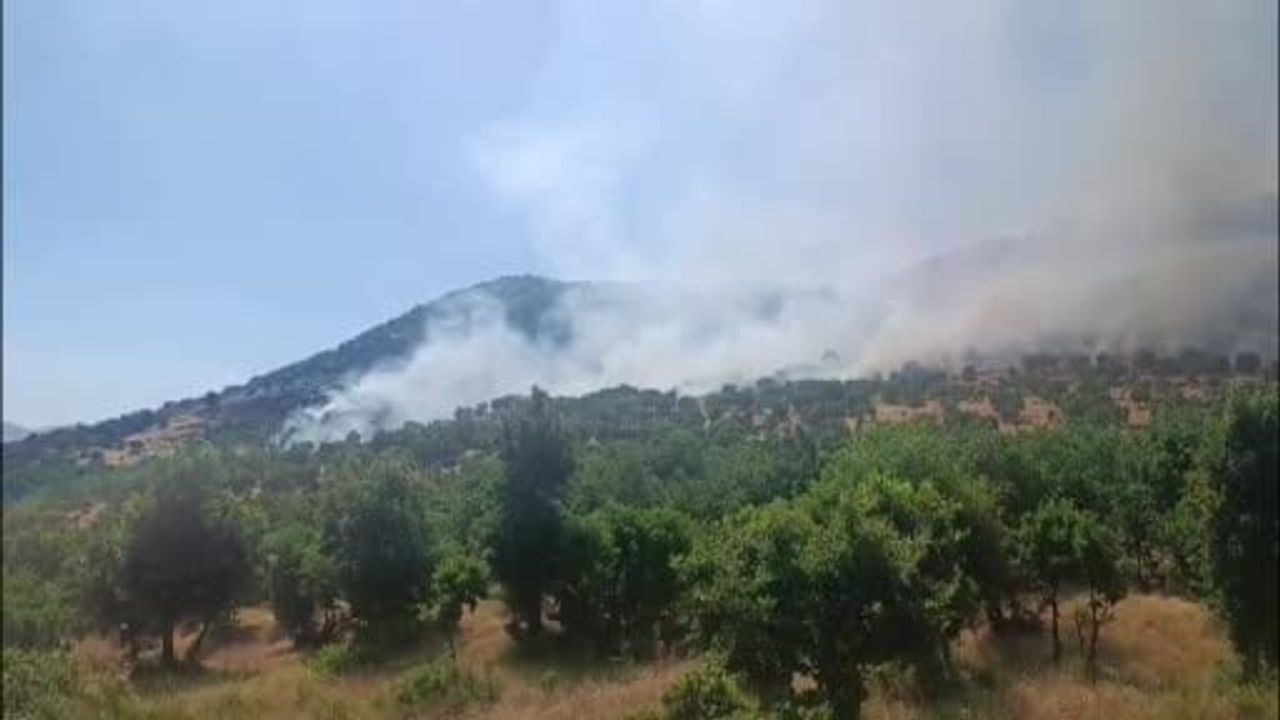 Diyarbakır’da Çüngüş ilçesinde ağaçlık alanda yangın: itfaiye ve jandarmanın söndürme çalışmaları sürüyor