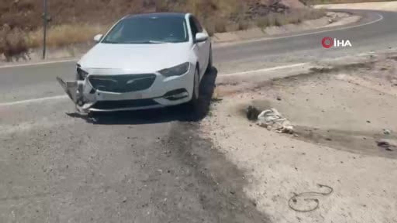 Diyarbakır'da engellileri taşıyan minibüs ile otomobil çarpıştı: 19 yaralı