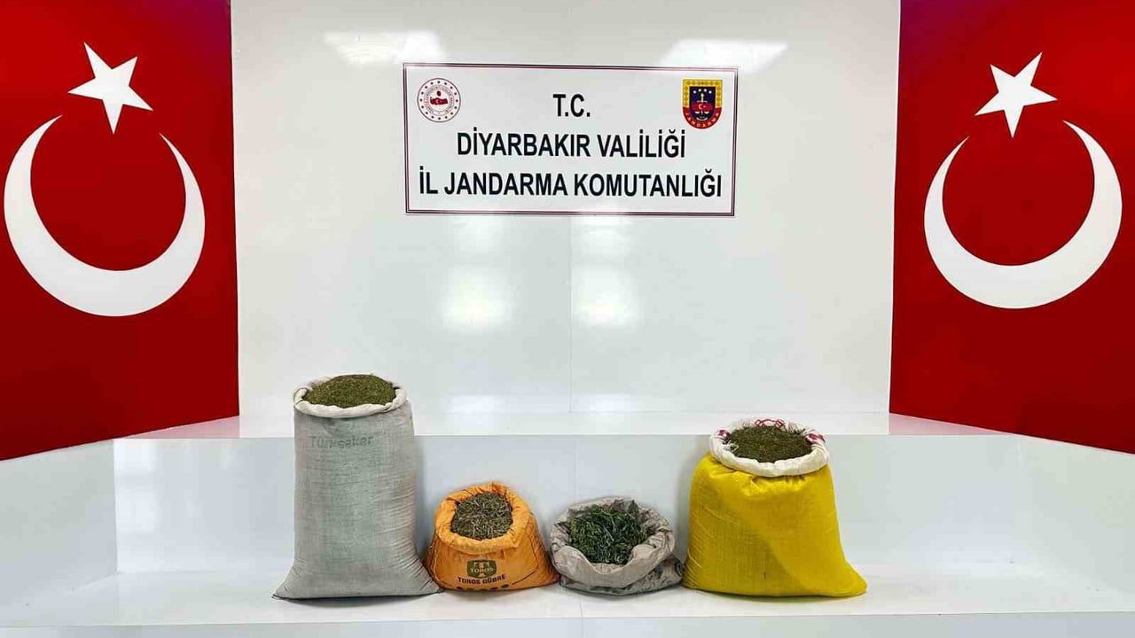 Diyarbakır'da jandarma 144 kilo esrar ele geçirdi