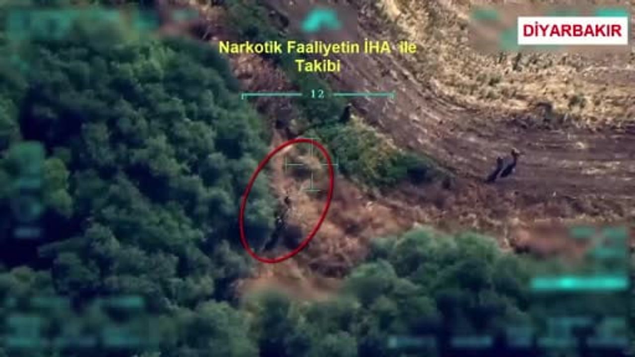 Diyarbakır'da jandarmanın 387 bin kök kenevir ve skunk operasyonu
