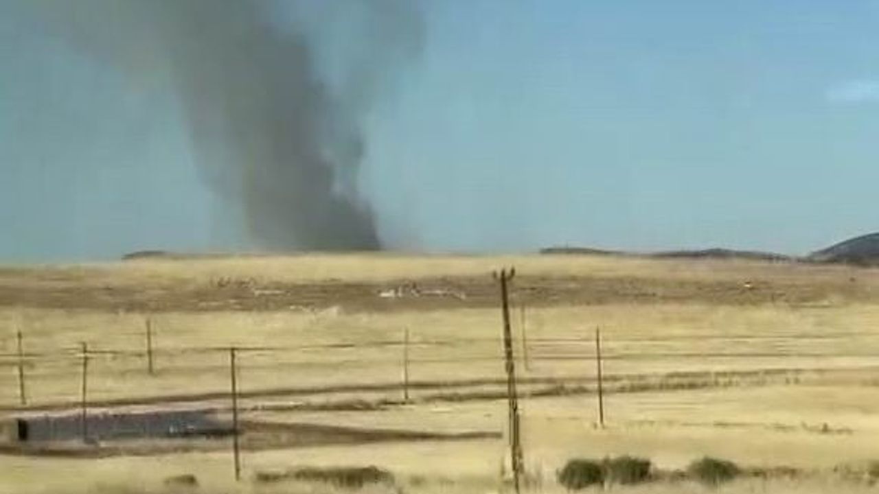 Diyarbakır'da Lice'de ağaçlık alanda yangın ekiplerin müdahalesiyle söndürüldü