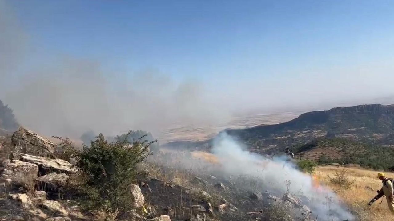 Diyarbakır'da örtü yangını söndürüldü