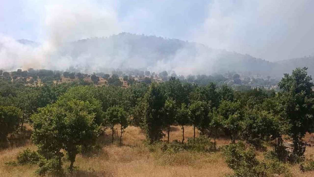 Diyarbakır'ın Çüngüş ilçesinde ağaçlık alanda yangın
