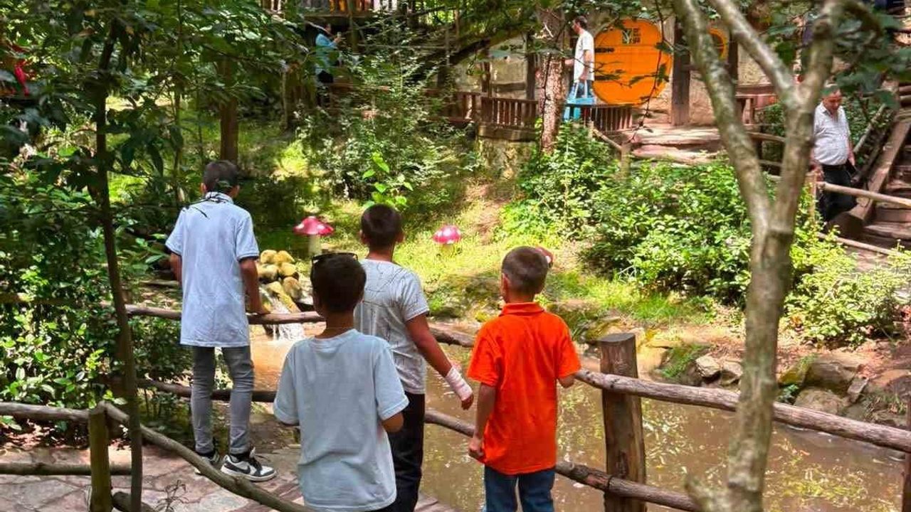 Doğa ve oyunla büyüyen anlar: koruma altındaki çocukların Ormanya gezisi