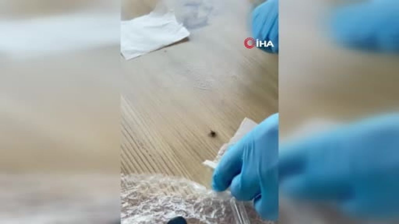 Doğal bitki özleriyle keneye karşı kalıcı koruma hedefi