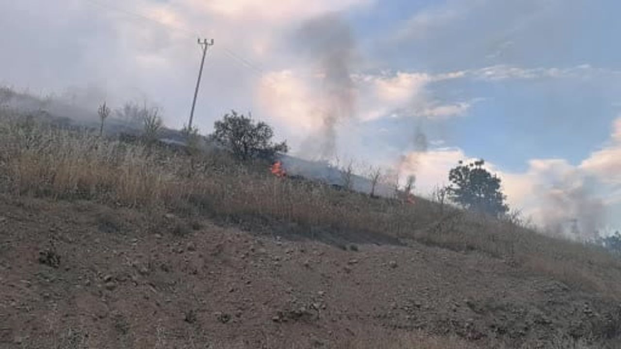 Doğanşehir'de orman yangını kontrol altına alındı