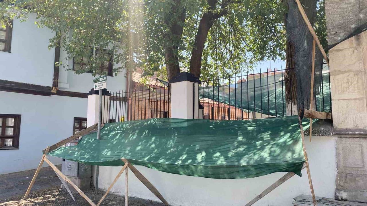 Dökülen dutlar için ağlı önlem