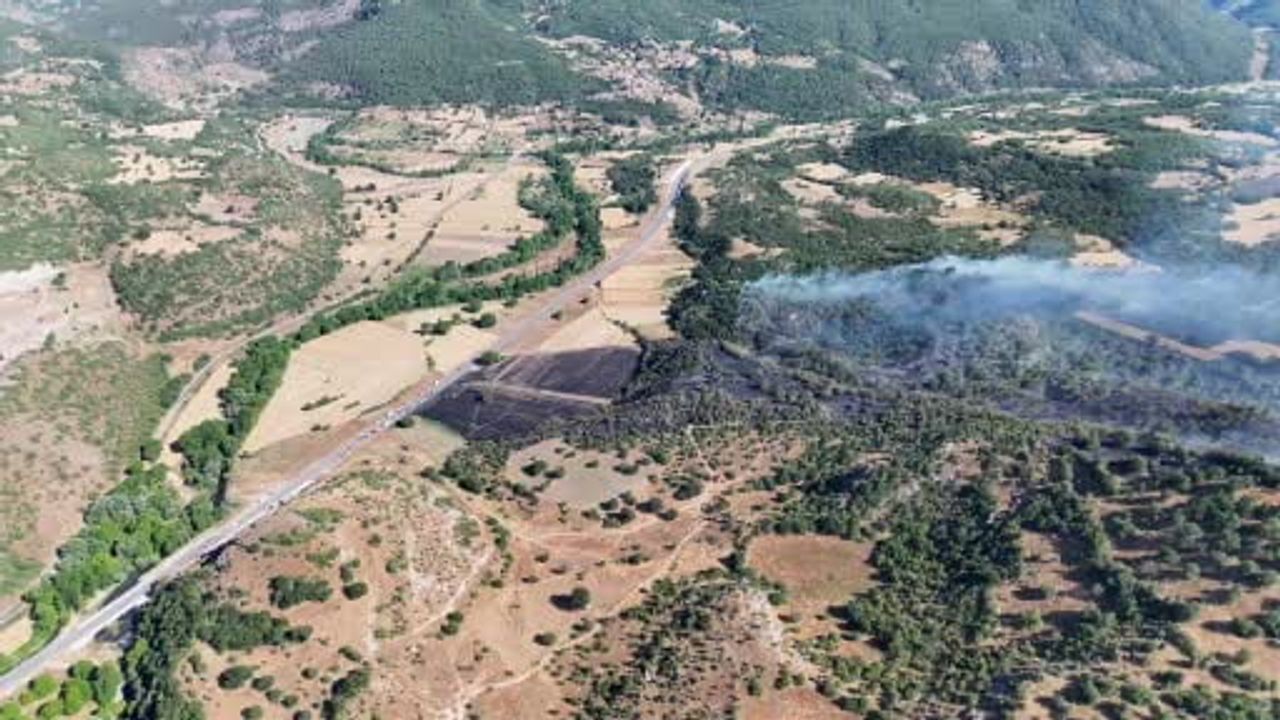 Domaniç'te rüzgârla yayılan tarladan ormana yangın söndürüldü
