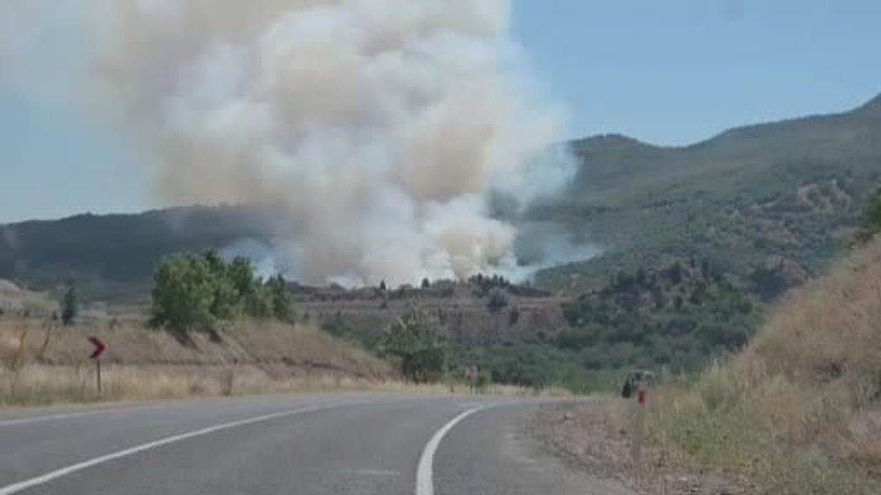 Domaniç'te tarladan ormana sıçrayan yangın için ekipler seferber oldu