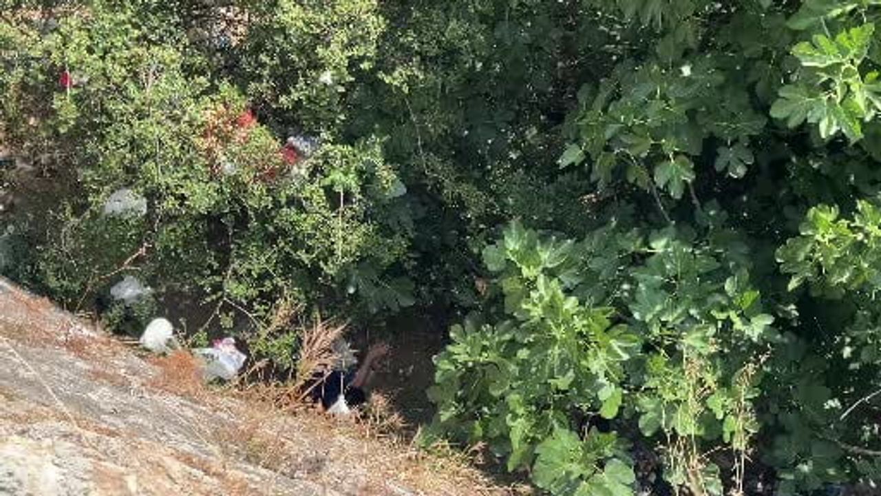 Düştükten sonra ormana kaçtı: Bursa'da 10 metre yükseklikten düşen kadın bulundu