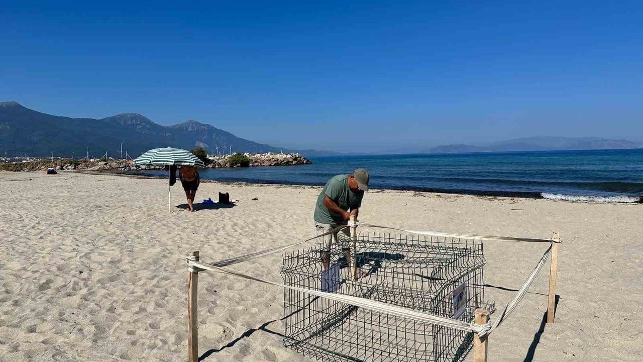 Duyarlı gençlerin ihbarı ile Kuşadası'nda caretta yuvası koruma altına alındı