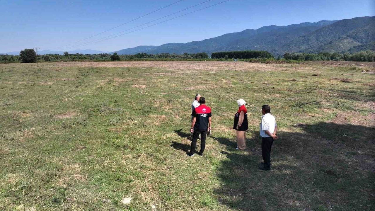 Düzce'de 400 dönümlük merada ıslah çalışmasıyla otlatma kapasitesi iki katına çıktı