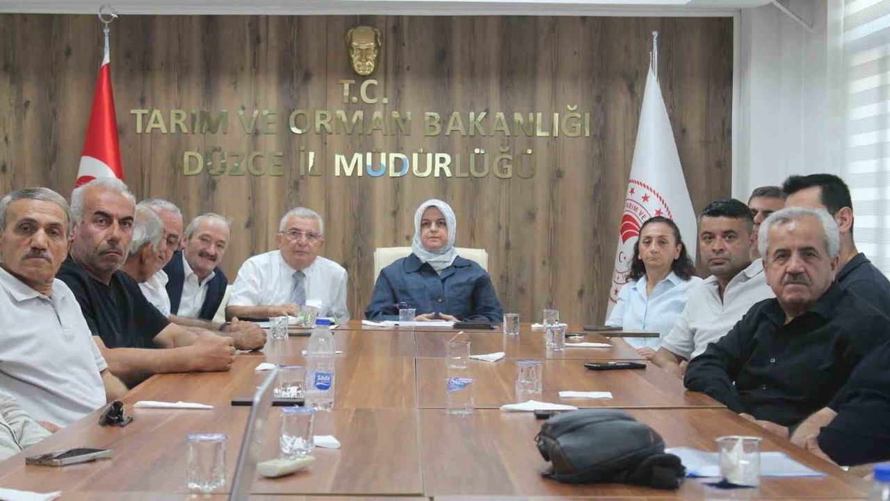 Düzce'de fındık rekolte tahmin çalışmaları değerlendirildi