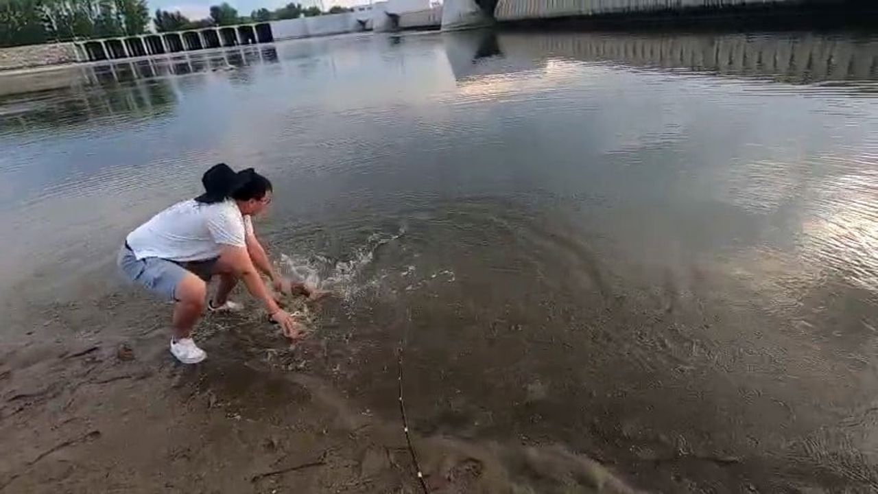Edirne'de Meriç Nehri'nde 4 kişinin uğraştığı dev turna balığının kaçışı