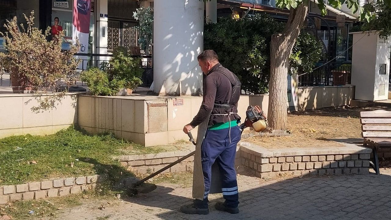 Efeler Belediyesi 7 Eylül Mahallesi'nde yeşil alan bakım çalışması yürüttü