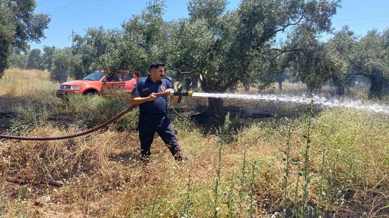 Efeler'de zeytinlikte yangın ekiplerin müdahalesiyle söndürüldü