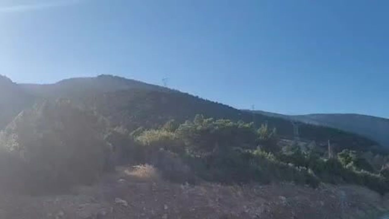 eğirdir'de kontrol altına alınan orman yangını yaklaşık 10 hektarı etkiledi