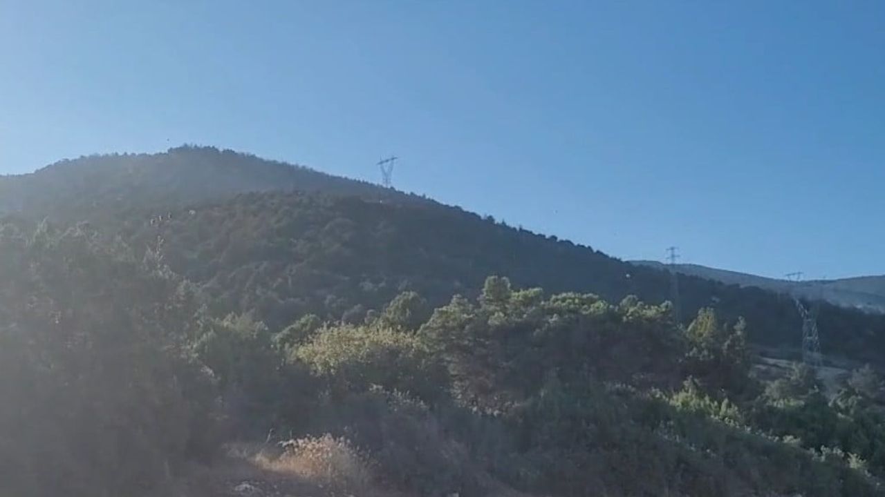 Eğirdir'de poyrazın büyüttüğü yangın ekiplerin müdahalesiyle kontrol altına alındı