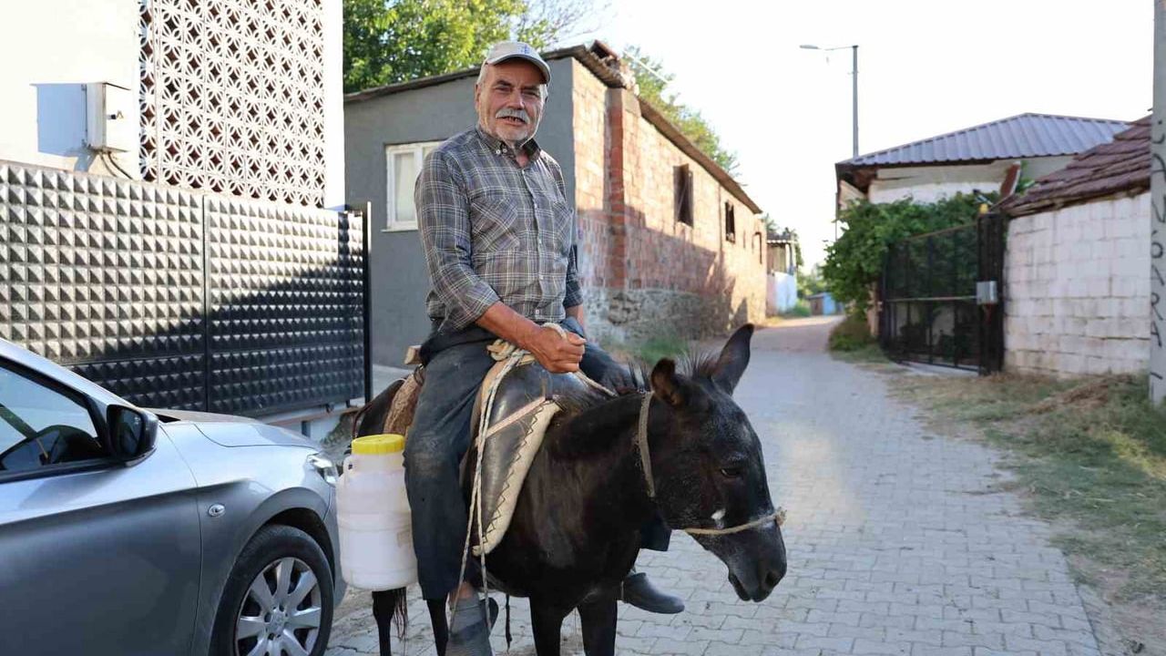 Ehliyet yok, 70 yaşindeki Ayhan amca işini eşeğiyle sürdürüyor