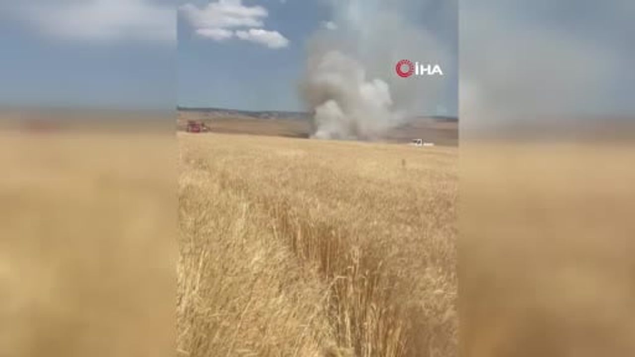 Elazığ’da 35 dönüm ekili alan küle döndü