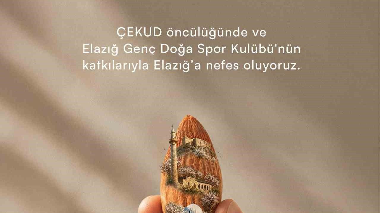 Elazığ'da atıl arazilere 20 bin badem fidanı dağıtılacak