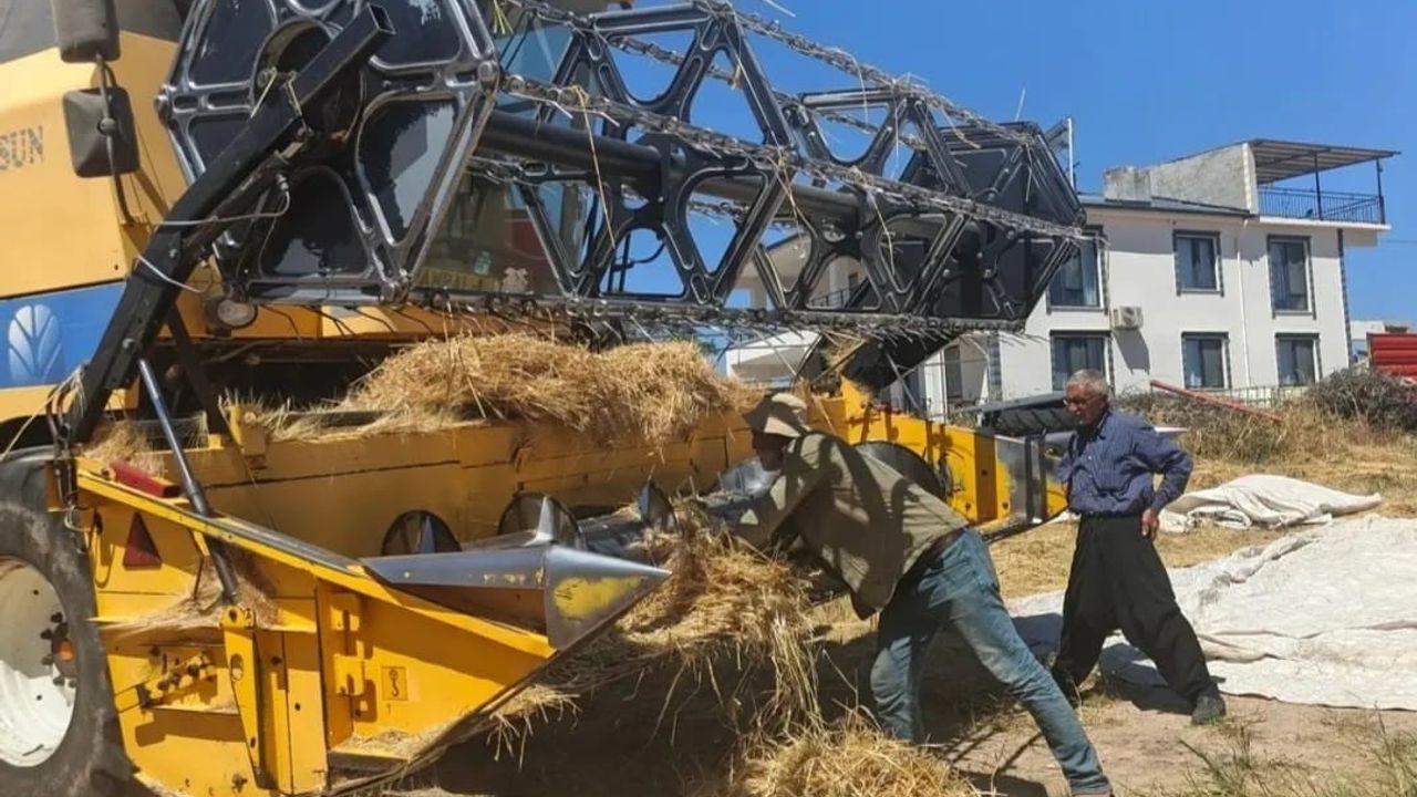 Elazığ'da biçerdöverler denetlendi