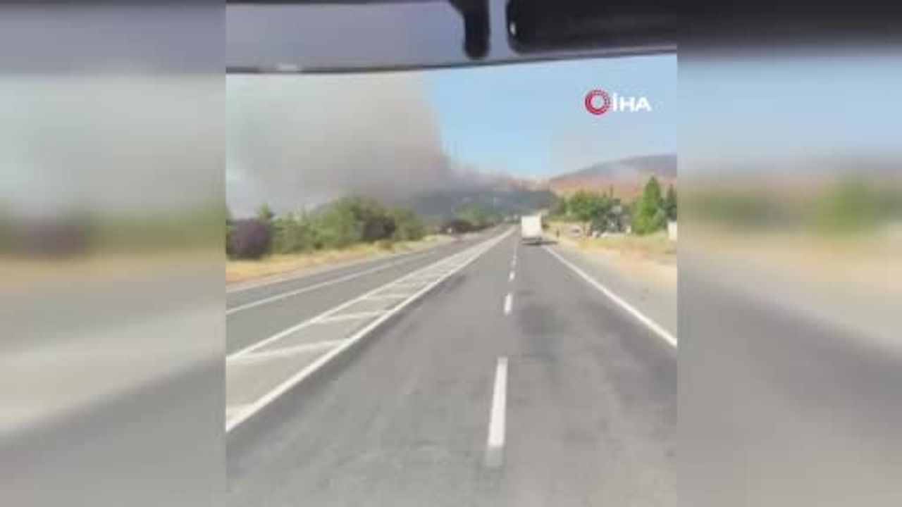 Elazığ'da buğday tarlasında yangın söndürüldü