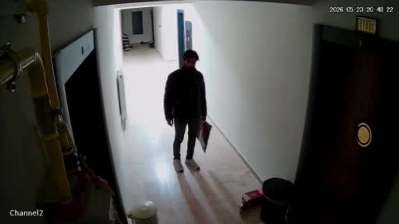 Elazığ'da çiçek hırsızı kameraya yakalandı
