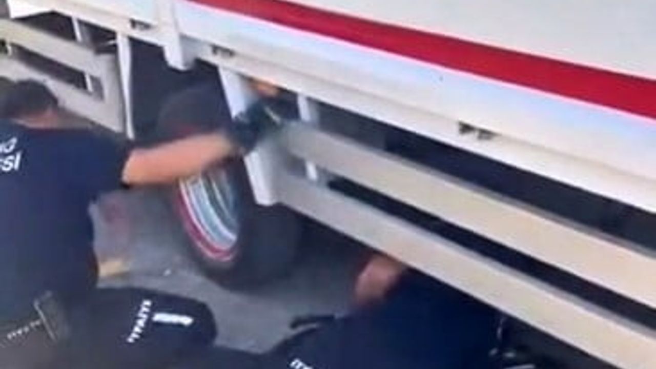 Elazığ'da kamyonet tekeri arasında kalan yavru kedi itfaiyenin çabasıyla kurtarıldı